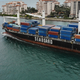 All these corals died near the Port of Miami—all to expand the channel and allow in bigger ships.